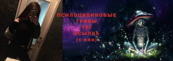 ешки Абинск