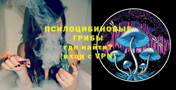 ешки Абинск